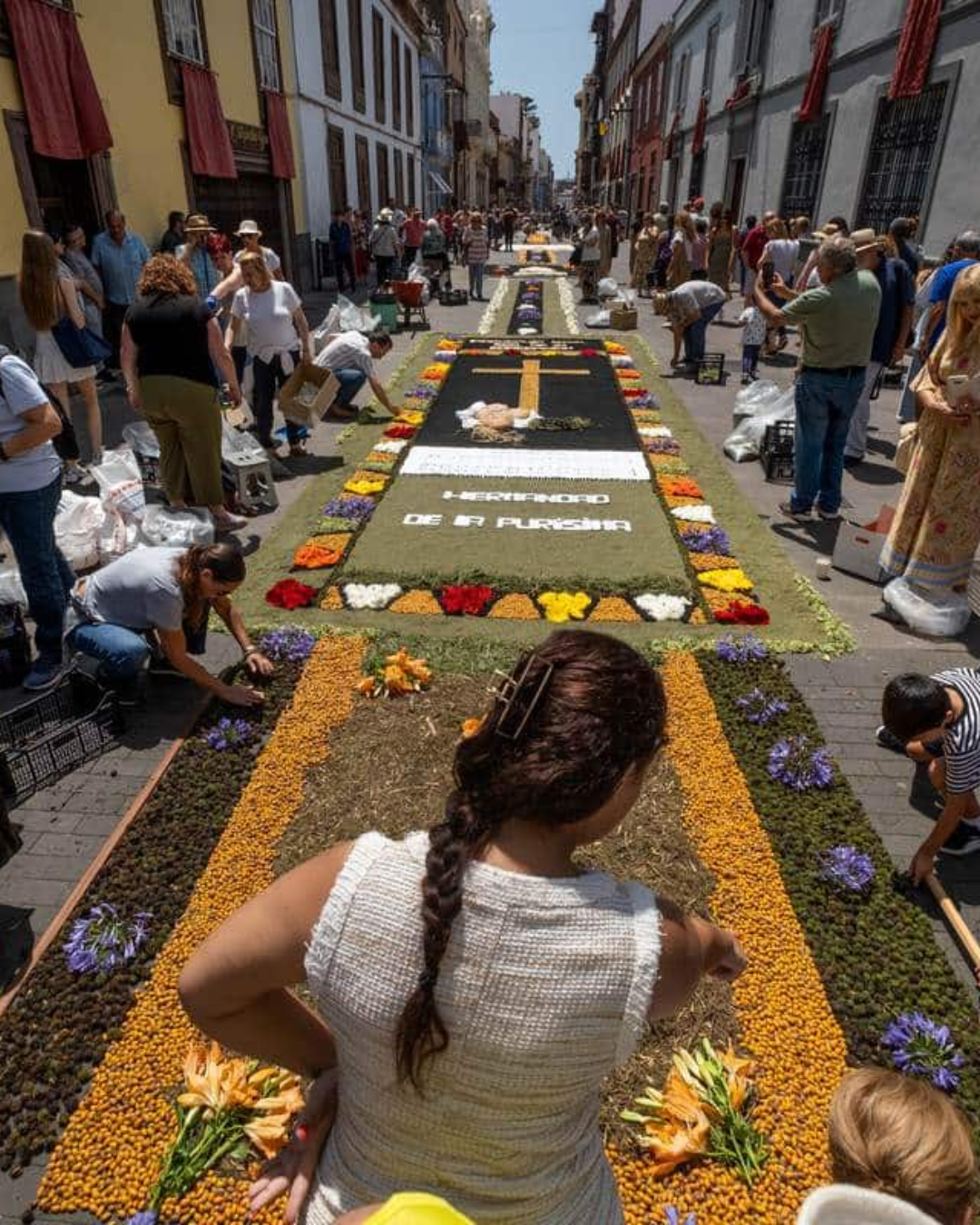 The Flower Carpets of Corpus Christi (Tenerife and Other Regions)
