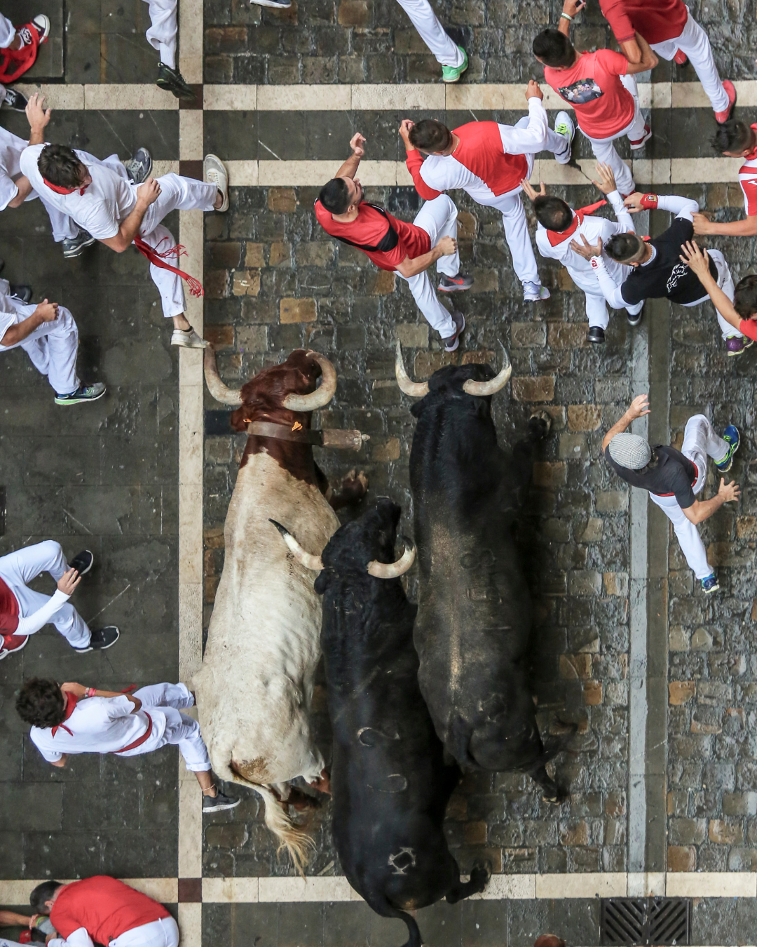 San Fermín - The Running of the Bulls in Pamplona