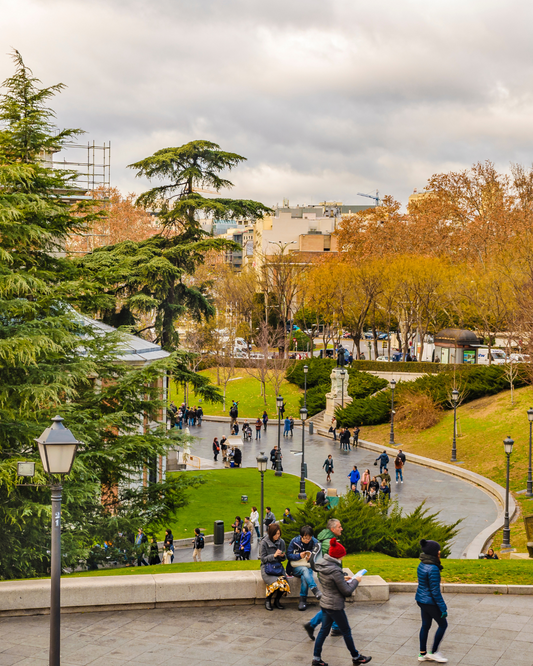 Contemporary Art in Spain: Top Galleries and Creative Spaces