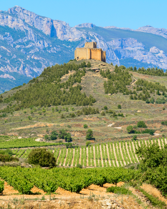 La Rioja: Spain’s Wine Capital Bringing Its Flavors to Canada