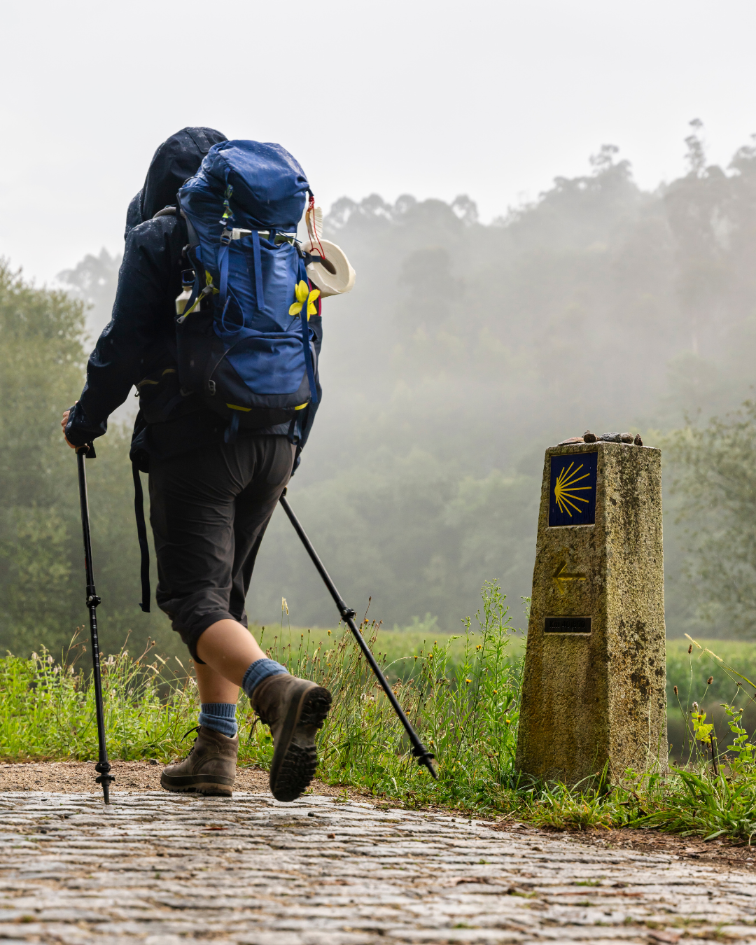 The Camino de Santiago Route: More Than Just a Pilgrimage