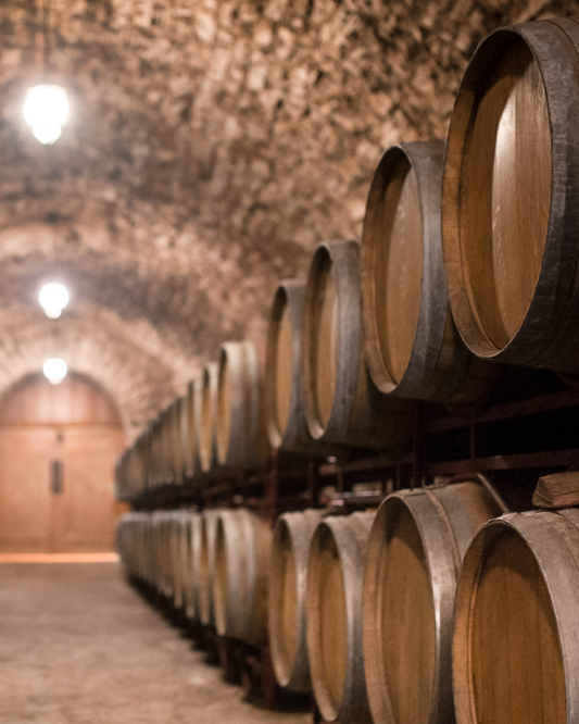 Wineries and Vineyards: The Best Wine Experiences in Castilla-La Mancha