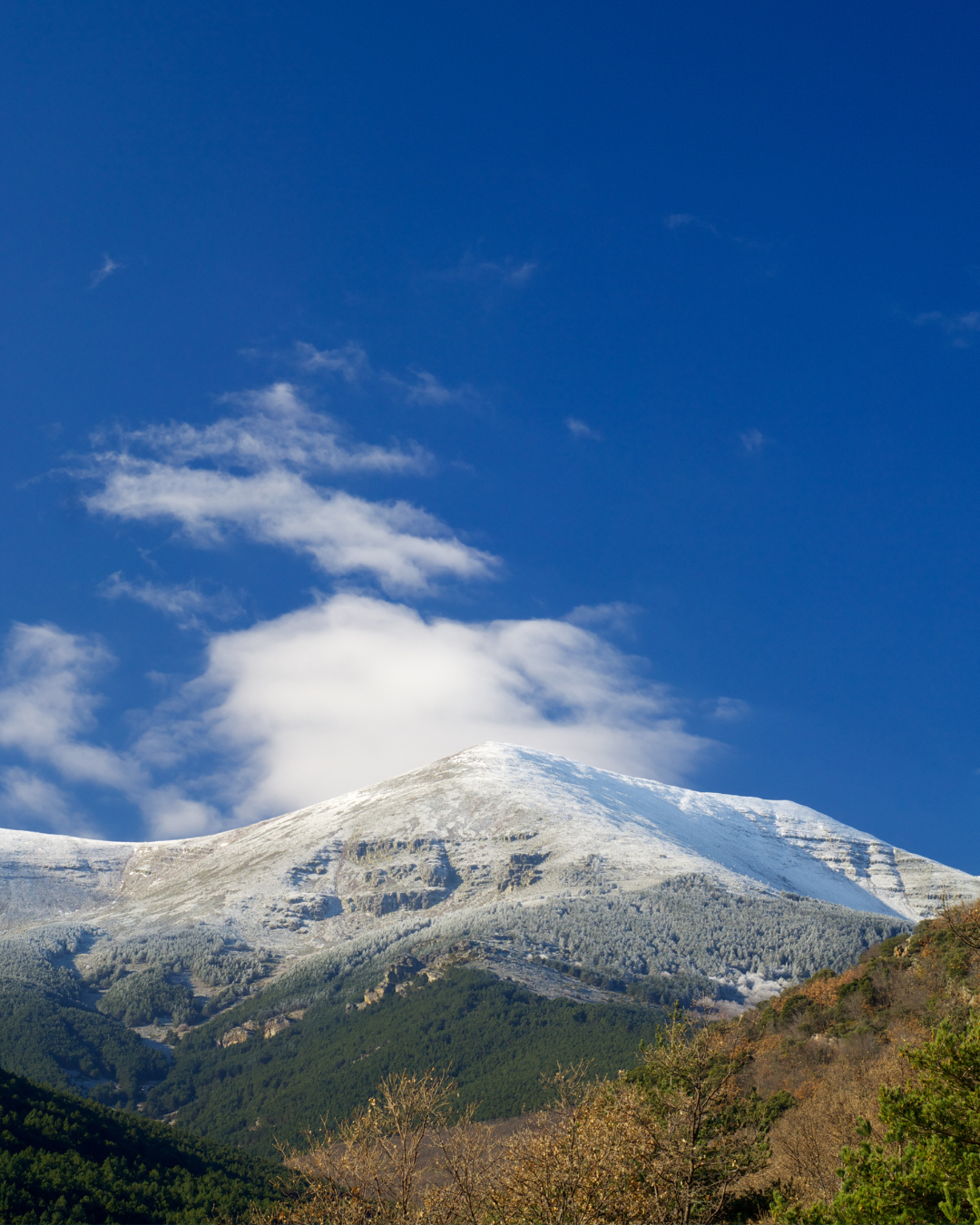 Nature Escapes: National Parks and Hiking Trails in Castilla y León
