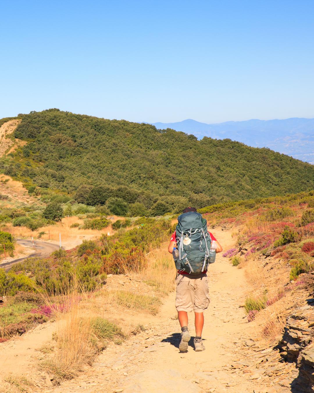 The Pilgrim’s Journey: Walking the Camino de Santiago Through Castilla y León