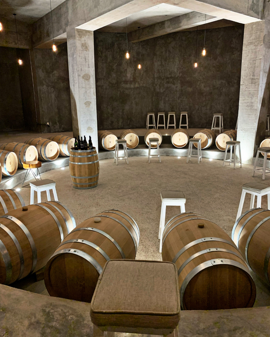Wine and Cava Routes: The Best Vineyards in Penedès and Priorat