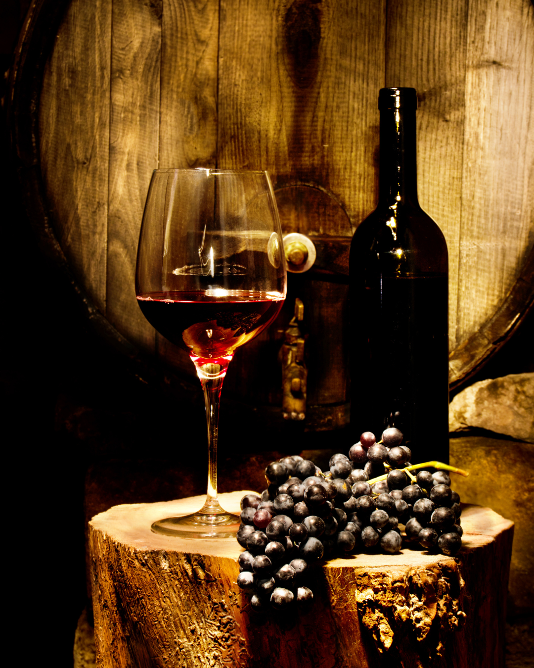 The Best Wines of La Rioja: Guide to the Appellations of Origin and their Varieties