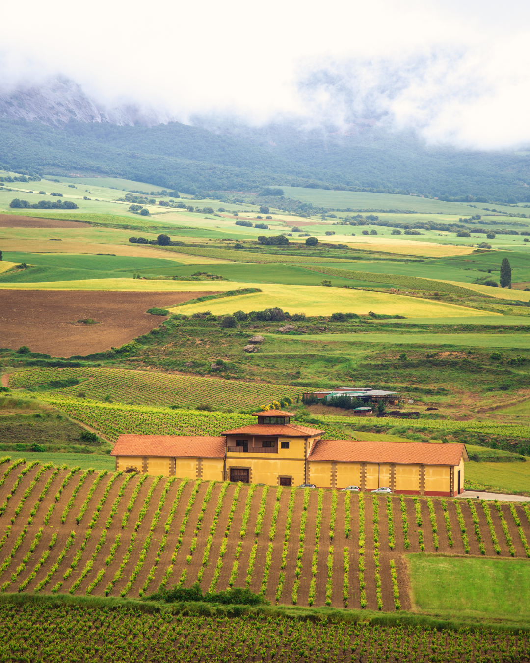 Tourism in La Rioja: Beyond Wine, Places Not to be Missed