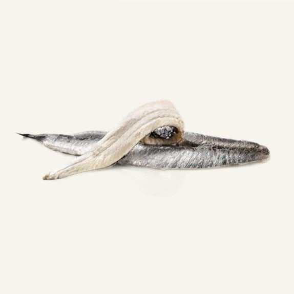 White Anchovies in Sunflower Oil - Boquerones en Aceite. Pujado Solano, 625g - Little Spain Market