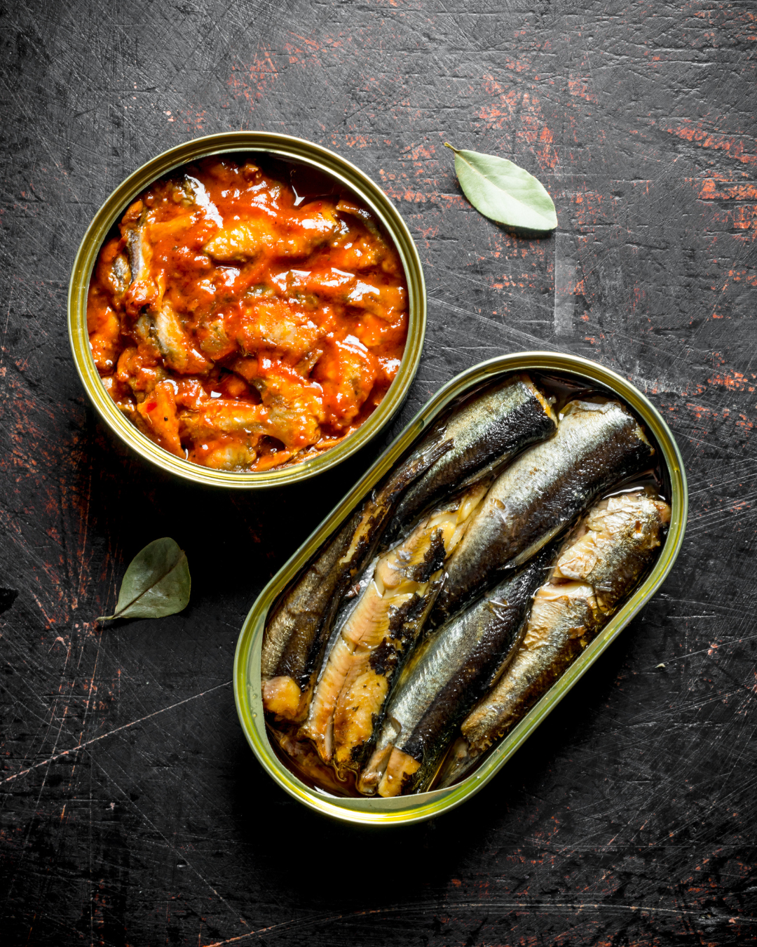 Assorted Spanish canned seafood conservas including sardines, mussels, tuna and anchovies in olive oil displayed for gourmet tapas