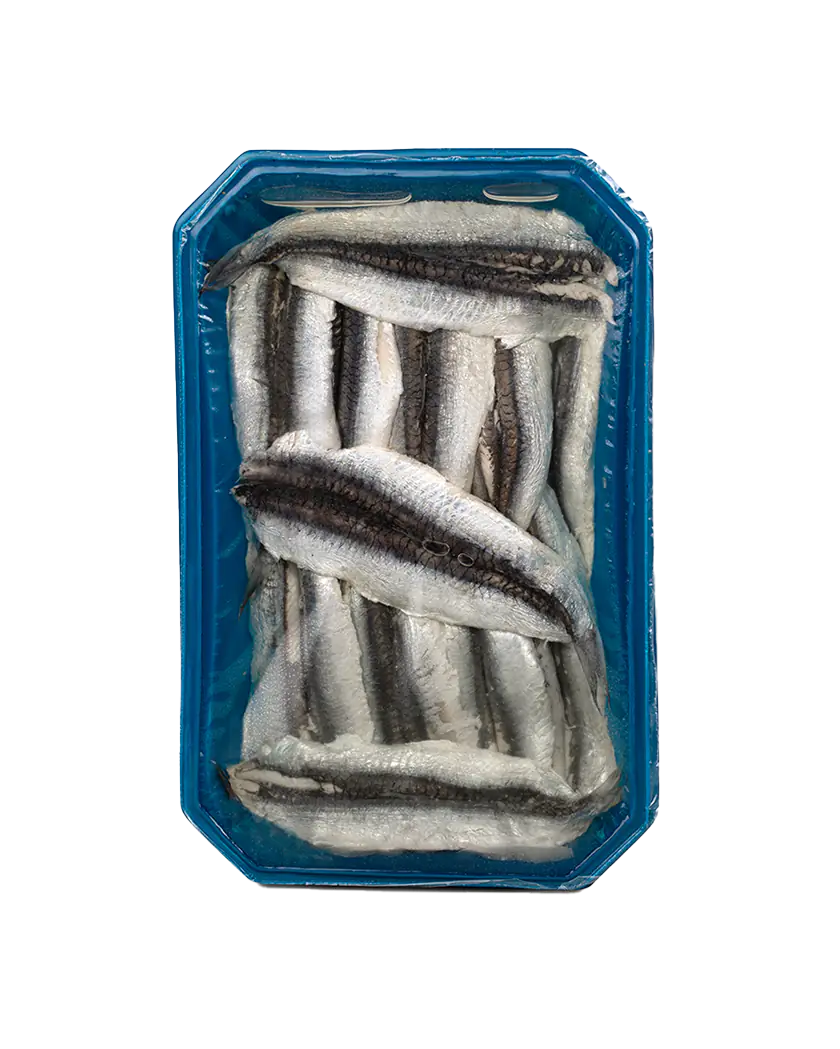 White Anchovies in Sunflower Oil - Boquerones en Aceite. Pujado Solano, 625g - Little Spain Market
