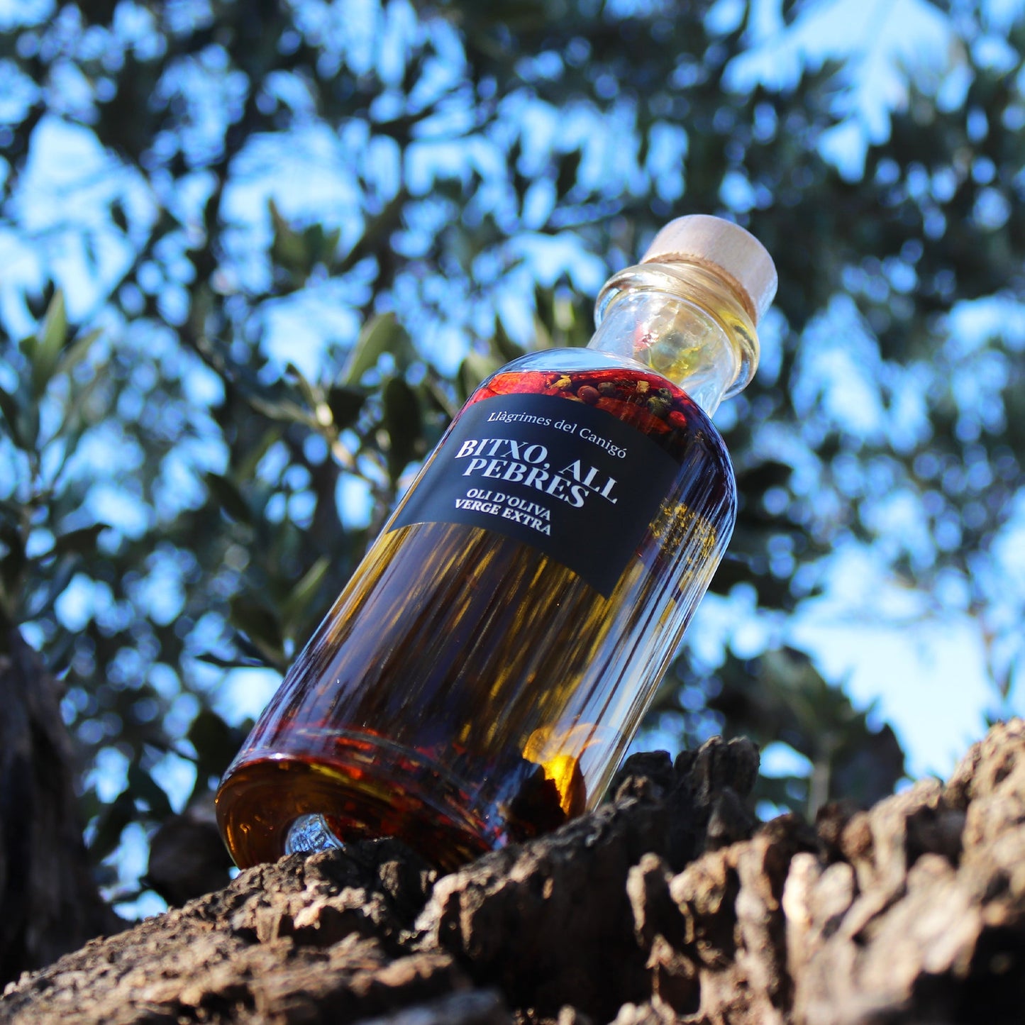 Olive Oil with Chilli, Garlic & Peppers - Aceite de oliva con especias. Llagrimes del Canigo, 250ml - Solfarmers